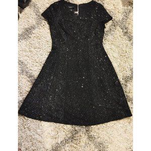 Alyx Dress Women's Size 6 Black with Silver Sparkle Fit & Flare Dress